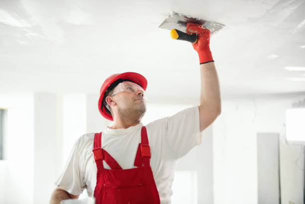 Best Drywall Removal and Disposal  in North River Shores, FL