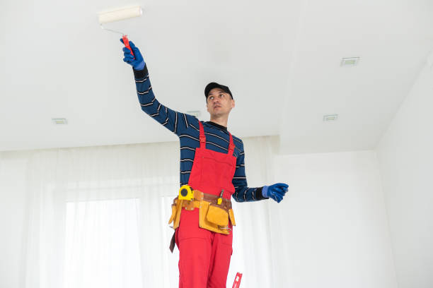 Best Fire-Damaged Drywall Repair  in North River Shores, FL